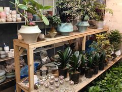 -双季花艺园艺市场(浦东店)