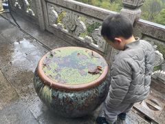 -韬光茶庵