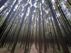 -山王坪喀斯特国家生态公园