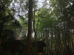 -洪湖悦兮半岛国际温泉度假村