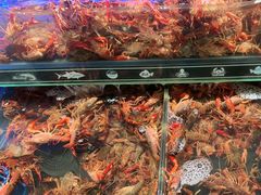 -星伦多自助料理·涮烤一体(奉贤龙湖天街店)