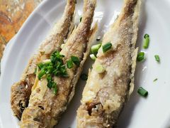 小黄鱼-小河无名面馆