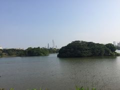 -海珠湖公园
