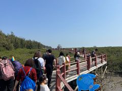 -北海金海湾红树林生态旅游区