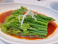 丝瓜尖-松鹤楼·非遗·苏帮菜(融科店)