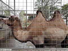 -迪茵湖田家舍生态农场