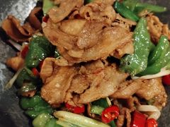 -金狮麟·新豫菜(金码大厦店)