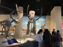 -国家自然博物馆