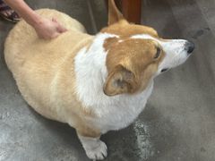 -鹿福农庄(南沙天后宫店)