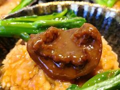 -顺峰(农展馆店)