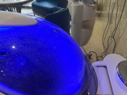 -碧莲盛·不剃发植发