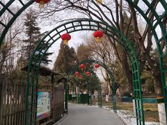 -黄村公园