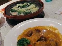 秘制咖喱牛腩饭-添饭茶餐厅(天悦龙庭店)