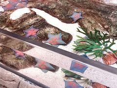 -沈阳海洋探索中心