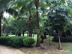 iphone_upload_pic-三亚湾海居铂尔曼度假酒店