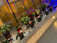 -北国之春国宴(乌兰察布店)