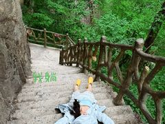 -洛阳白云山景区