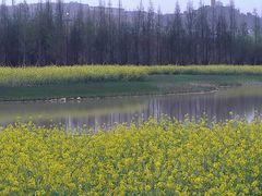 -贵阳市花溪国家城市湿地公园