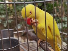 -南宫五洲植物乐园