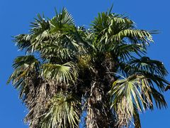 -田德能咖啡博物馆