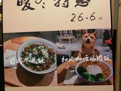 -柴迷FANS CLUB·柴犬狗咖·猫咖