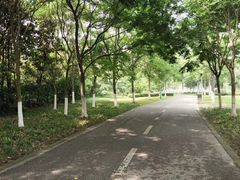 -尚贤河湿地