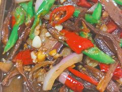 -黑蚂蚁(南河店)