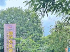 -鹿回头风景区