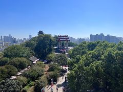 -黄鹤楼公园(黄鹤楼)