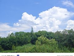 -上海吴淞炮台湾国家湿地公园