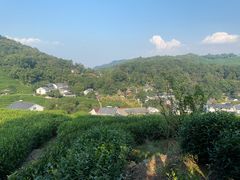 -野蔓果·山野菜(西湖景区·龙井茶田店)