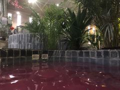 -兴芮温泉度假区