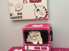 -静宜和她的朋友(星海广场店)