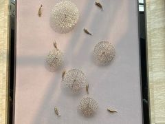 -水晶之星洗浴温泉汗蒸