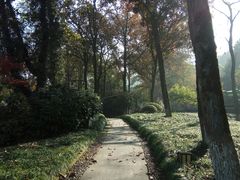 -杭州花家山庄