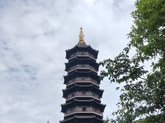 -重庆园博园