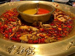 -哥老官重庆美蛙鱼头(宝山龙湖店)