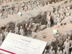 -秦始皇帝陵博物院-丽山园
