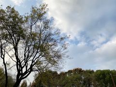 -后襄河公园