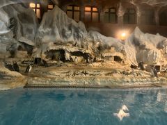 -帝企鹅自助餐厅•儿童岛•真企鹅(长隆企鹅酒店)