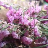 有次路过菜百，看到人挺多