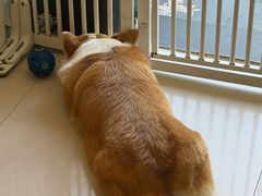 -平行世界·猫咖(首经贸店)