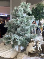 -IMON·HANSA潮玩玩偶毛绒玩具(通州万象汇店)