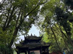 -青城山