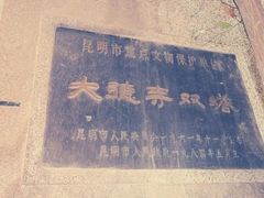 -大德寺双塔