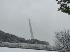 -紫荆广场·花漫里