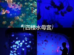 -南京海底世界