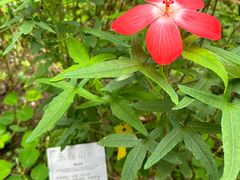 -广州神农草堂中医药博物馆