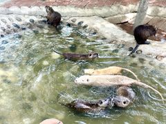 -水上乐园·欢乐世界