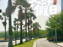 -金沙湖公园